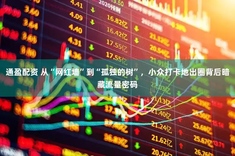 通盈配资 从“网红墙”到“孤独的树”，小众打卡地出圈背后暗藏流量密码